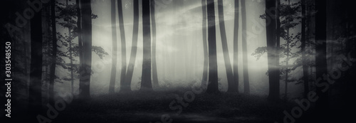 surreal dark forest panorama, fantasy landscape with strange portal in forest at night © andreiuc88