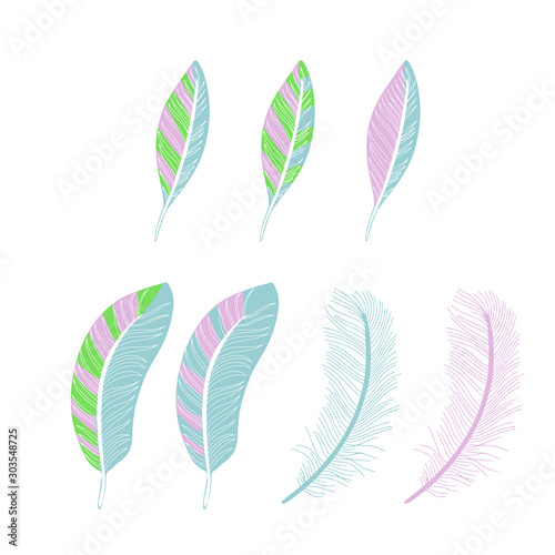 Set of bird feathers. © Yulia