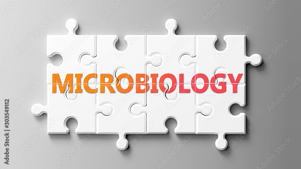 Microbiology complex like a puzzle - pictured as word Microbiology on a puzzle pieces to show that Microbiology can be difficult and needs cooperating pieces that fit together, 3d illustration Microbiology complex like a puzzle - pictured as word Microbiology on a puzzle pieces to show that Microbiology can be difficult and needs cooperating pieces that fit together, 3d illustration
