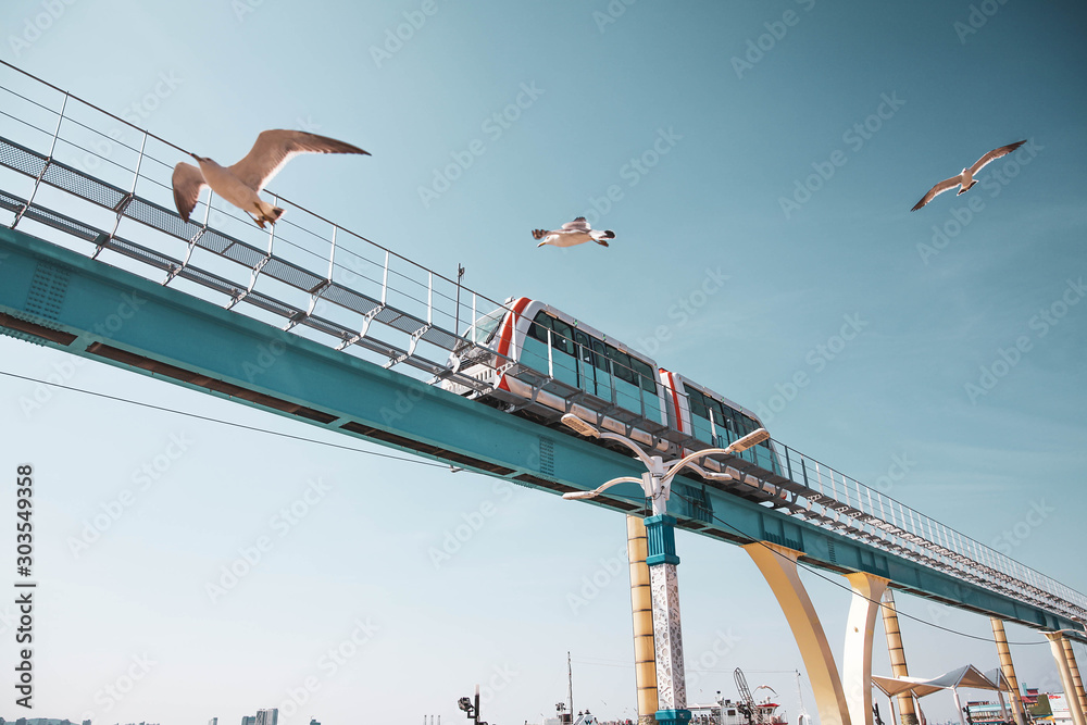 South Korea's Monorail surrounded by pigeon birds flying on a blue sky