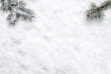 Christmas white background with snow and christmas tree branch, flat lay, top view