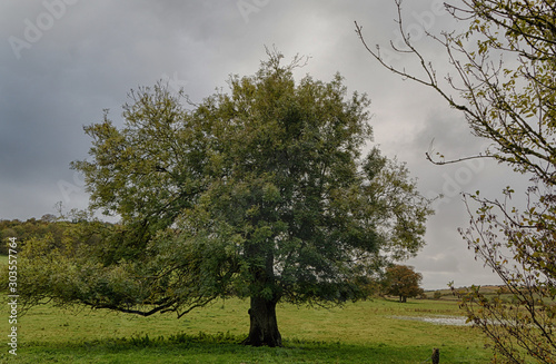 Autumn Meadow - Stiffkey - North Norfolk photo