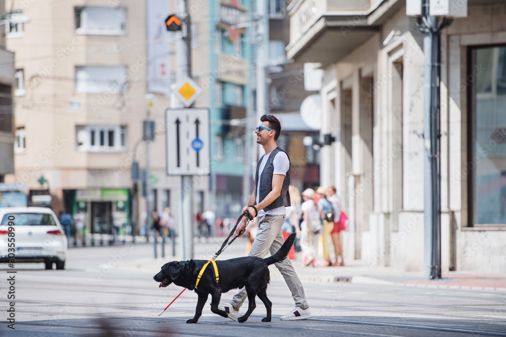 Φωτογραφία Young blind man with white cane and guide dog walking across street in city