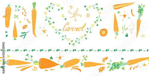 Isolated on white set of vector elements: horisontal seamless border brush with carrots, lettering, carrot tops and other elements