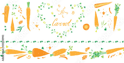 Isolated on white set of vector elements  horisontal seamless border brush with carrots  lettering  carrot tops and other elements