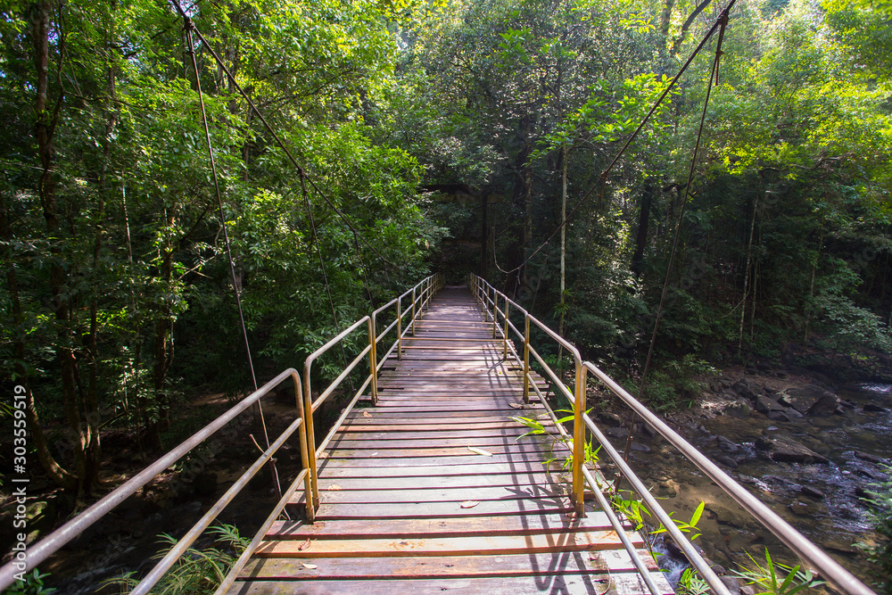 Bridge in the jungle of Thailand