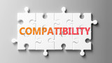 Compatibility complex like a puzzle - pictured as word Compatibility on a puzzle pieces to show that Compatibility can be difficult and needs cooperating pieces that fit together, 3d illustration