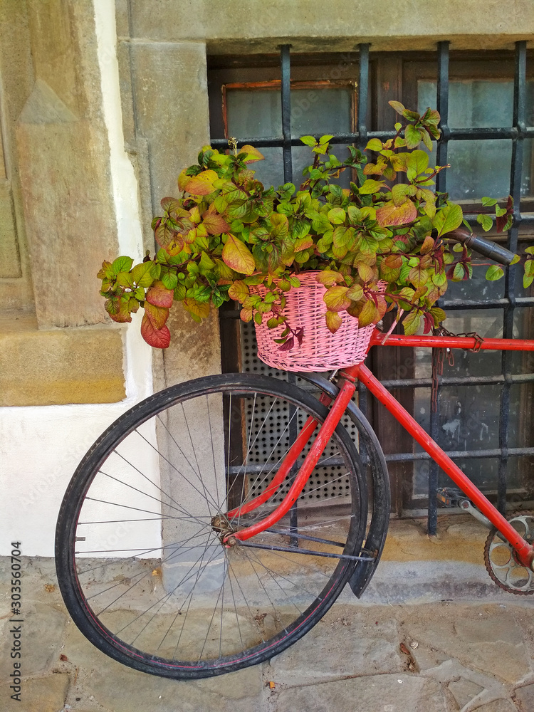 Fototapeta premium Bike with plants