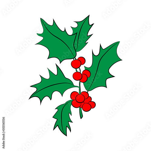 Vector colorful hand drawn holly branch with berry and leaves.