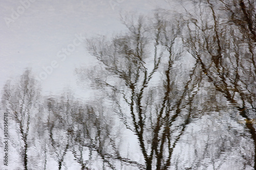 distorted reflection of trees in river water