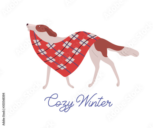 Beautiful dog, domestic animal carrying warm red blanket flat illustration with handwriting
