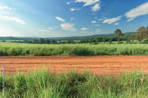 Dirt roadside view with the meadow photo