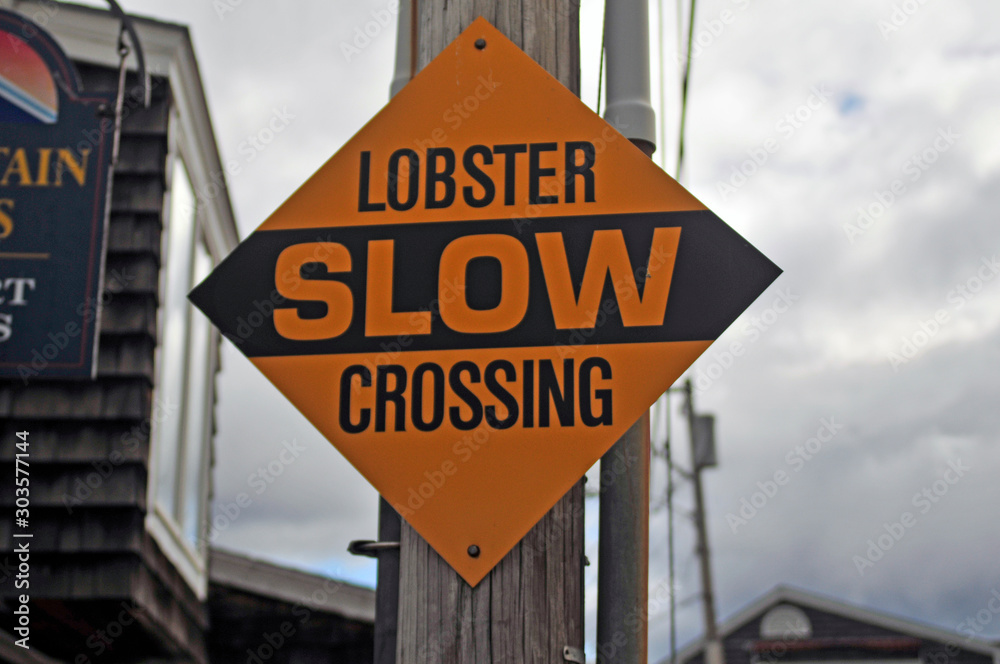 Obraz premium Sunrise on Marginal Way in Ogunquit, Maine.