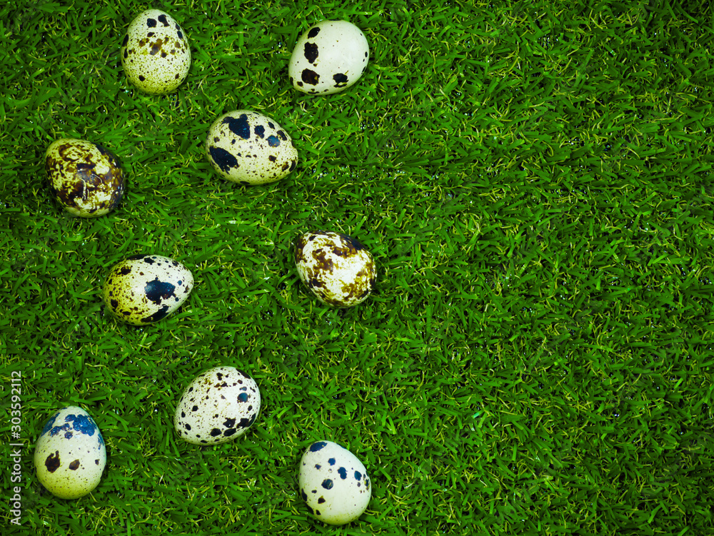Quail eggs on the grass