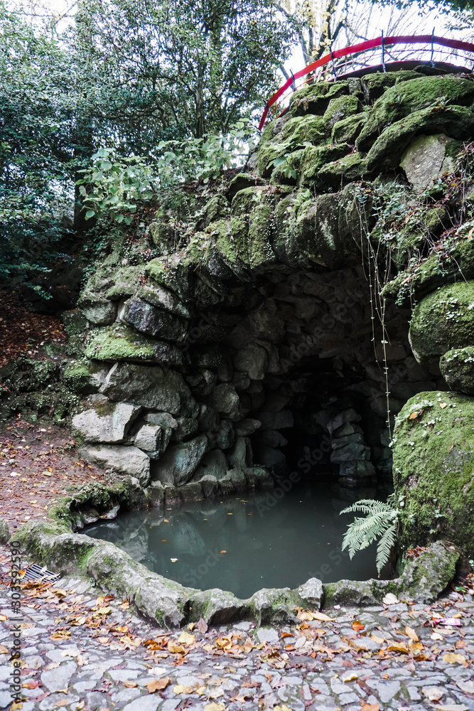 Fototapeta premium Nature is Pure