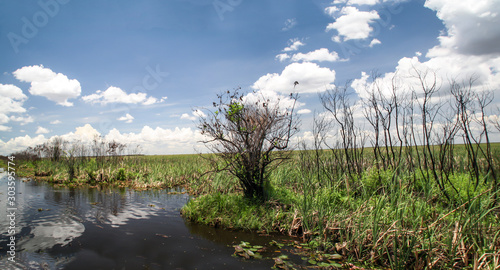 Blick in die Everglades, großes Landschafts Gebiet in Florida