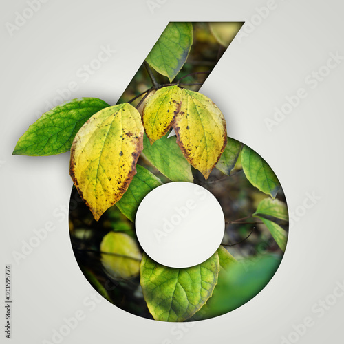 Nature concept. Creative number with autumn leaves on a gray background. Creative typography, Chapter in the presentation, template. 6 number six.
