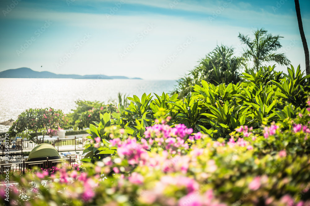 Beautiful landscape of the sea, flowers, palm trees on a summer sunny day.