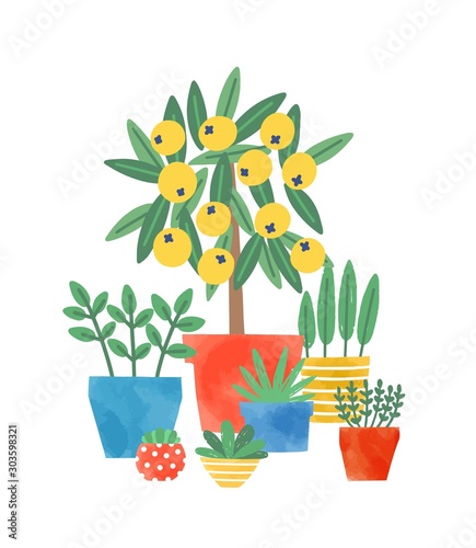 Home plants in ceramic pots flat vector illustration. Lemon tree and succulents. Domestic decorative greenery. Flower growing, plants care. Multicolored flowerpots isolated on white background.