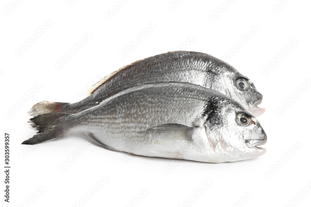 Fototapeta premium Fresh raw dorada fish isolated on white