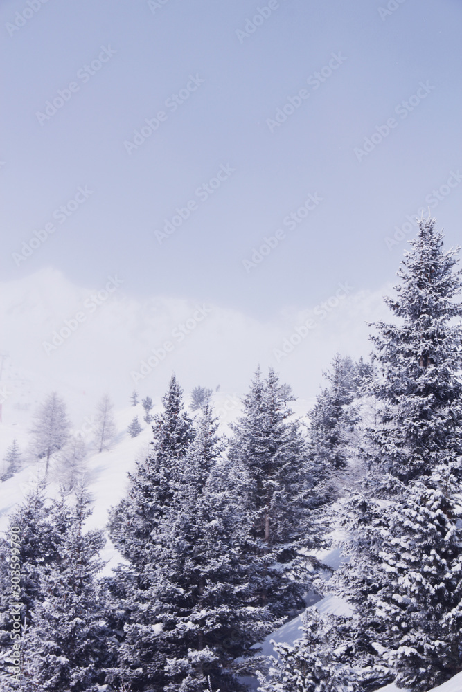 Winter mountain forest in Soelden