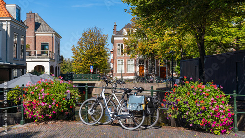  the Hague canal bridge with two bikes, beautiful und colorful red blossom flower on a sunny day in amsterdam, the hague, netherlands