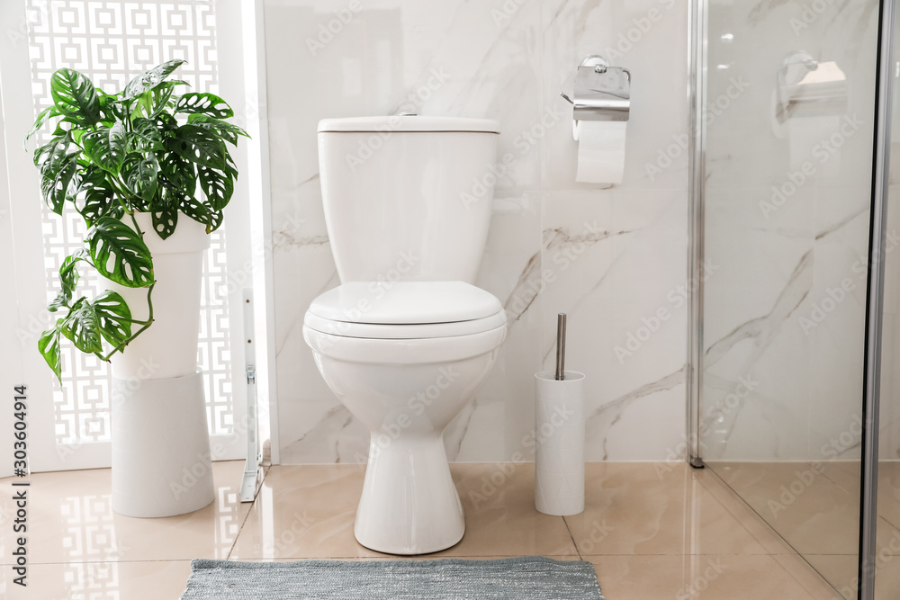 Ταπετσαρία Toilet bowl near shower stall in modern bathroom