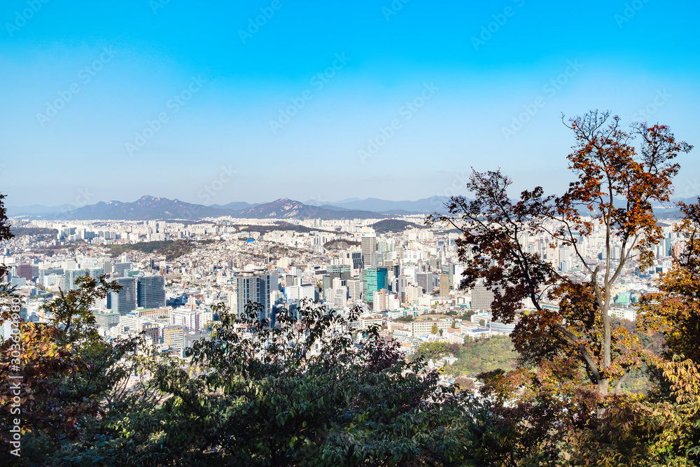 Εκτύπωση καμβά view of Seoul city through trees in Namsan park