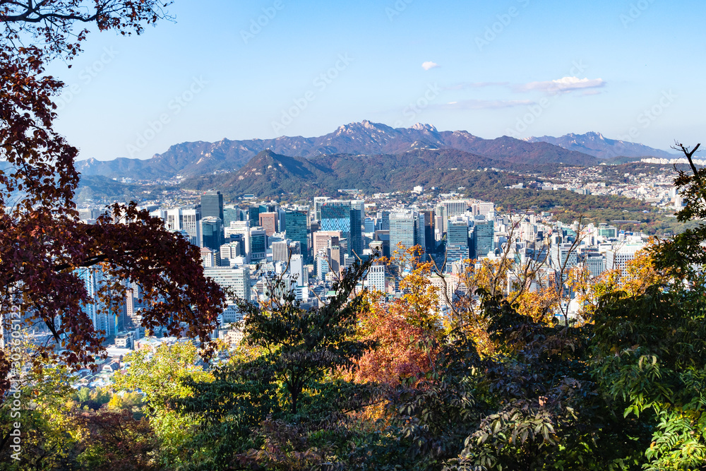 Φωτογραφία trees in Namsan park and above view of Seoul city