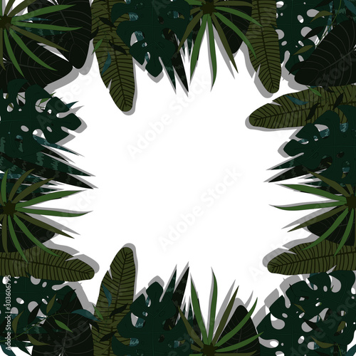 Line tropical leaves frame background vector illustartion hand draw desing