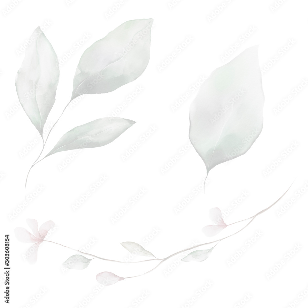 Flower Leaf Plant Flower Leaf Plant