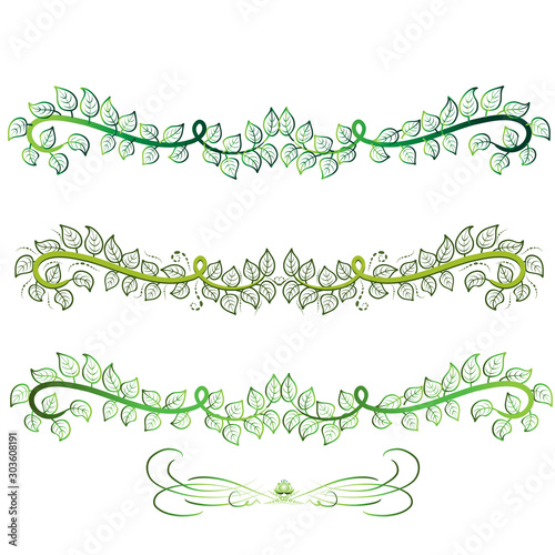 Floral decorations set of dividers and borders elements vector image web template