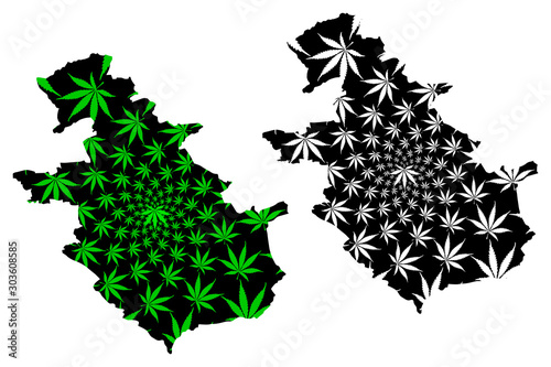 North Lanarkshire (United Kingdom, Scotland, Local government in Scotland) map is designed cannabis leaf green and black, North Lanarkshire map made of marijuana (marihuana,THC) foliage.. photo