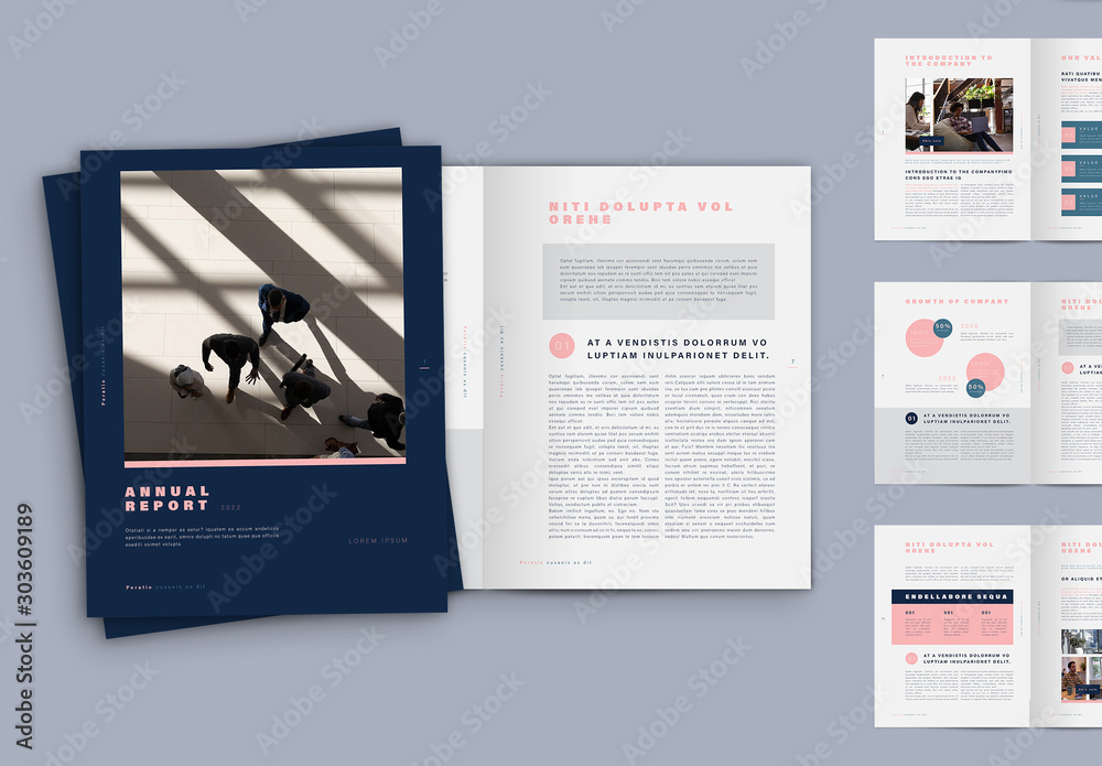 Blue and Pink Annual Report Layout Stock Template | Adobe Stock