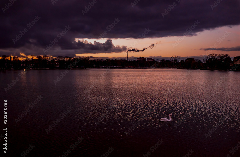 Night lake with a swan and the outlines of the city