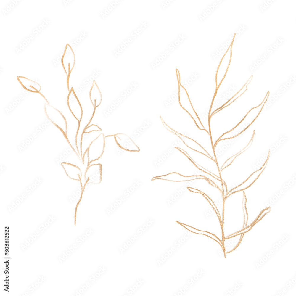 Naklejka premium Flower Leaf Plant