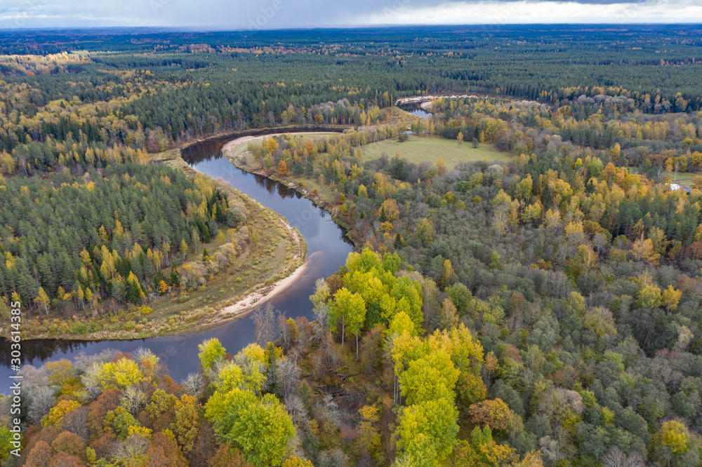 Forest in autumn colors. Colored trees and a meandering blue river. Red, yellow, orange, green deciduous trees in fall. Koiva national park, Latvia, Europe