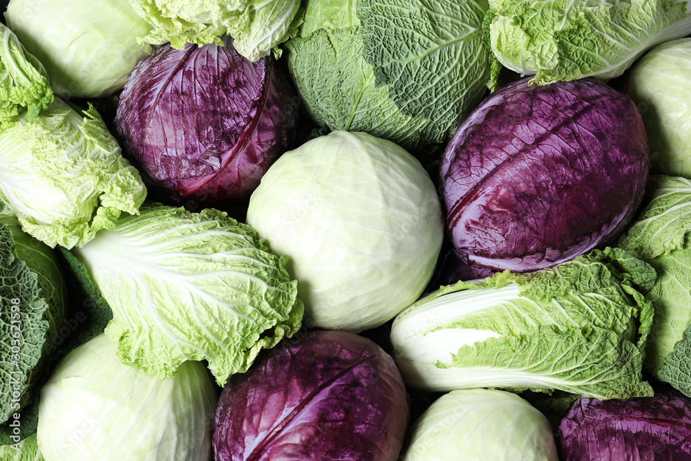 Different types of cabbage as background, top view - obrazy, fototapety, plakaty 