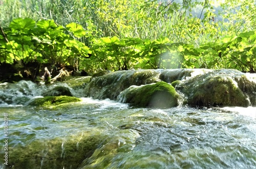 small waterfall in the forest