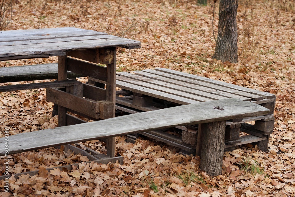 table with benches in the forest autumn