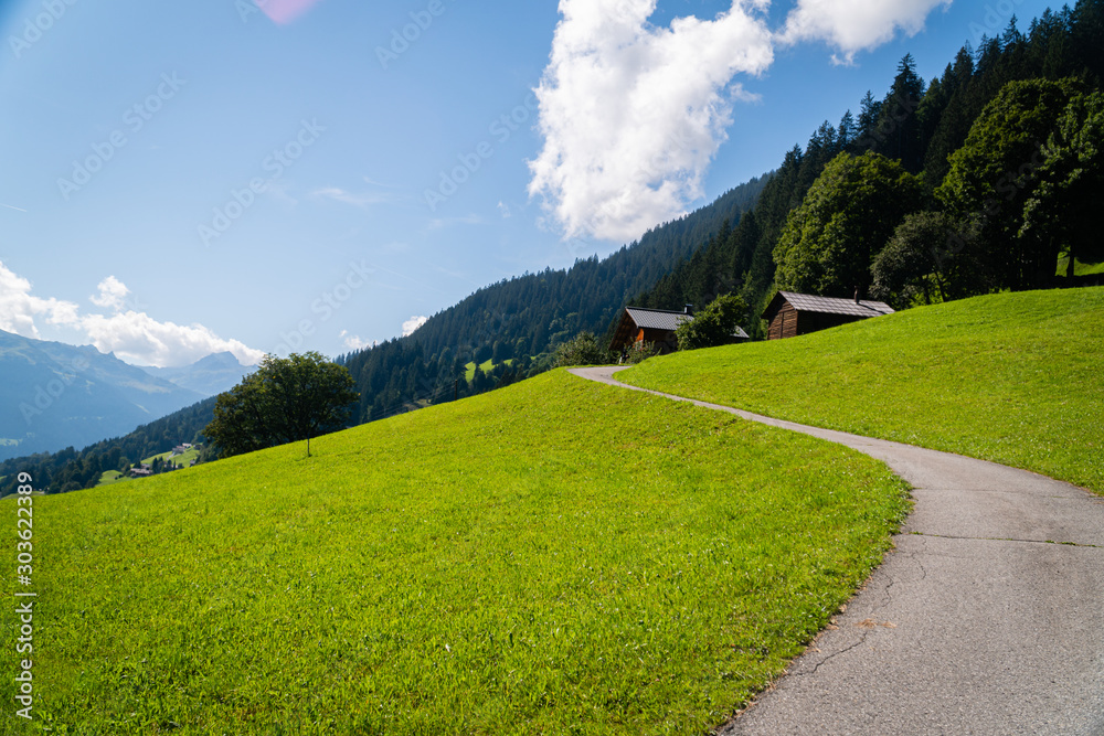 Narrow empty road winding by few mountain cottages with beautiful Montafon valley in Austria in background - Sunny summer day in rural mountain area