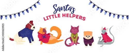 Xmas cute and festive illustration with cats and dogs template vector illustration. Santas little helpers weating funny costumes flat style design. Holidays concept