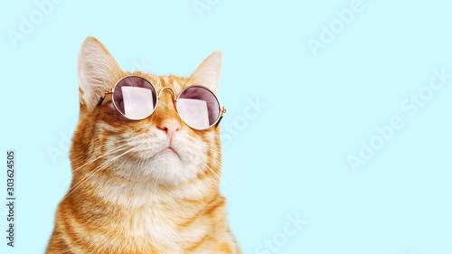 Closeup portrait of funny ginger cat wearing sunglasses isolated on light cyan. Copyspace. photo