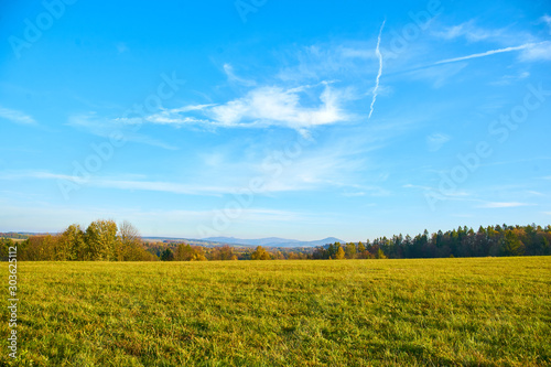 green meadow and blue sky