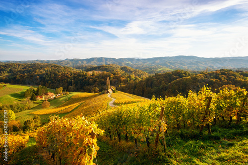 Vineyards with a autumn in Spicnik, Slovenia