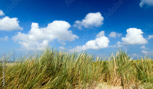 Dune beach on the North Sea island Langeoog in Germany with blue sky and clouds on a beautiful summer day