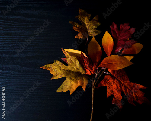 Autumn leaves on black wood background