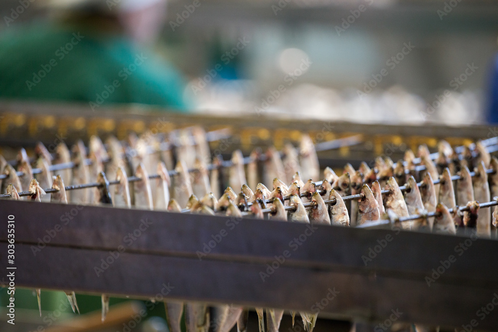 Εκτύπωση καμβά sprat processing factory, cannery plant, preparation of fish