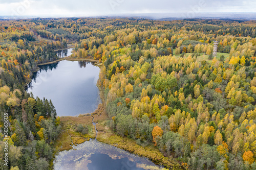 Forest in autumn colors. Colored trees and a meandering blue river. Red, yellow, orange, green deciduous trees in fall. Paganamaa, Estonia, Europe