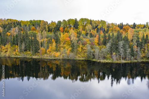 Forest in autumn colors. Colored trees and a meandering blue river. Red  yellow  orange  green deciduous trees in fall. Paganamaa  Estonia  Europe